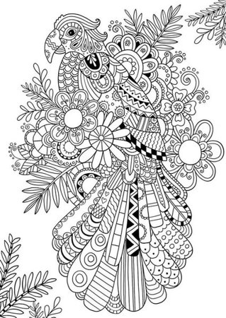 Раскраска антистресс