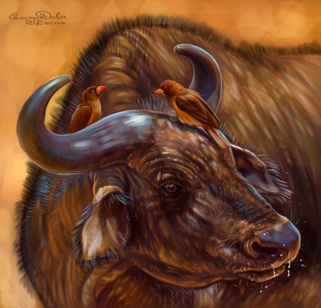 Голова быка