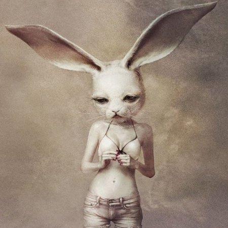 Художник Ryohei Hase кролик