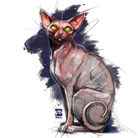 Кот сфинкс арт