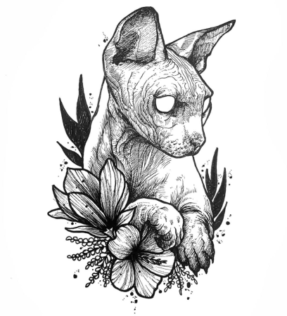 Кот сфинкс арт