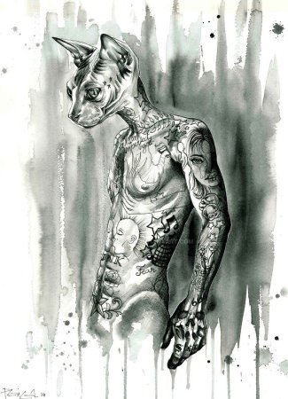 Кот сфинкс арт