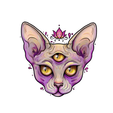 Канадский сфинкс портрет