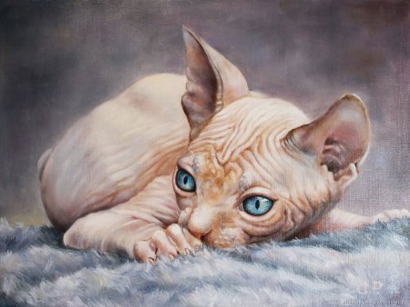 Сфинкс кошка арт