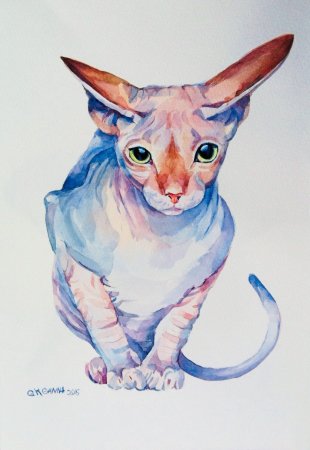 Сфинкс кошка арт