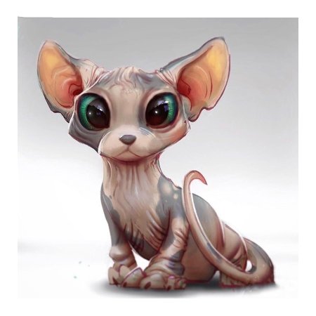 Сфинкс кошка