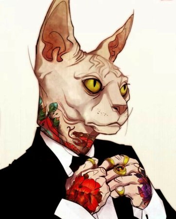 Кошка сфинкс акварель