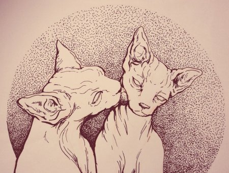 Кот сфинкс арт