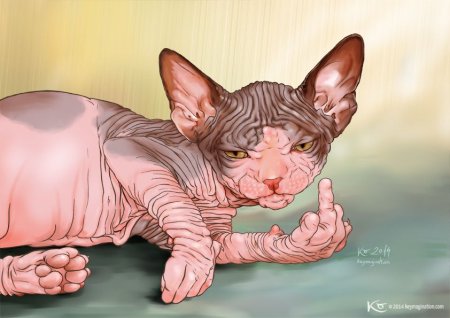 Сфинкс кошка арт