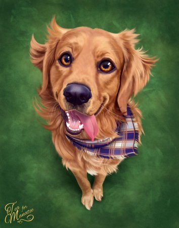 Красивые арты собак