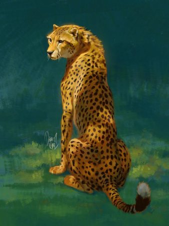 Королевский гепард альбинос