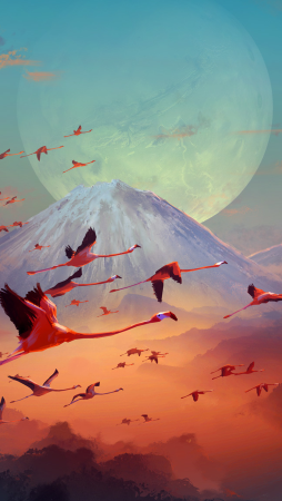 Sylvain Sarrailh Art