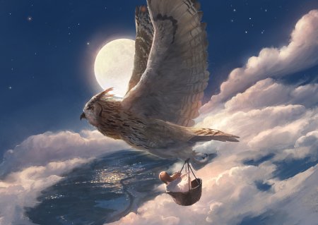 Птицы в ночном небе