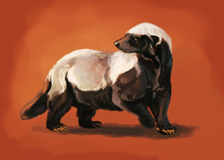 Badger арт