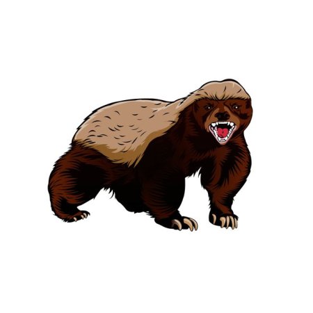 Медоед рисунок