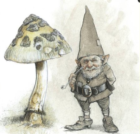 Kobold — Домовой, Гном