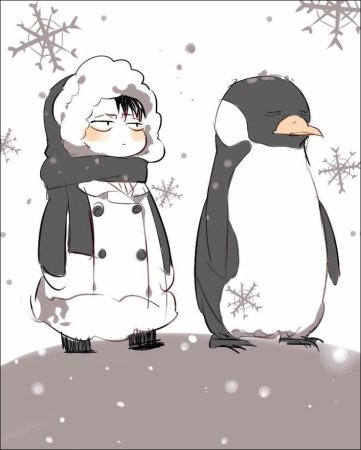 Леви Чиби Пингвин