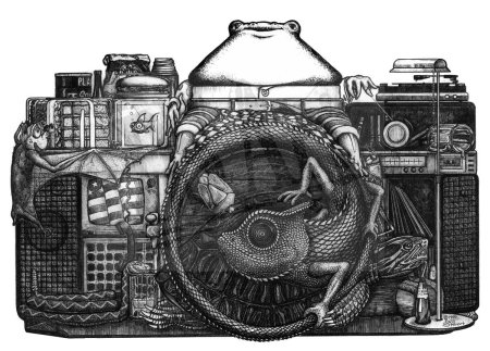 Фотоаппарат Art