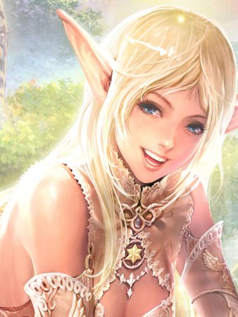 Арт Lineage 2 Эльф и эльфийка