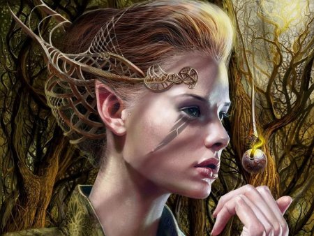 Альвы эльфы