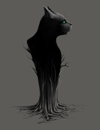 Мистические чёрные коты