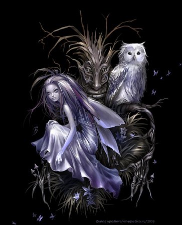 Anna Ignatieva Art magnetica