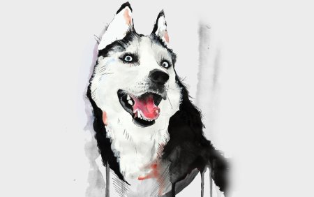 Хаски акварелью