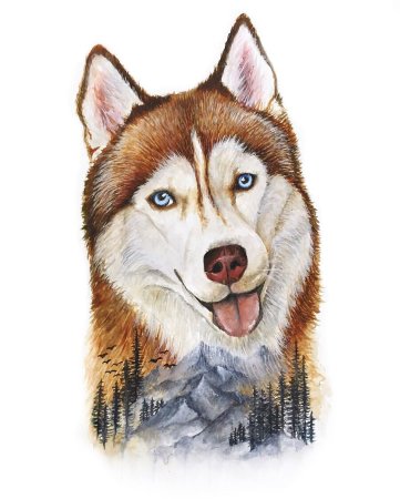 Хаски рисунок