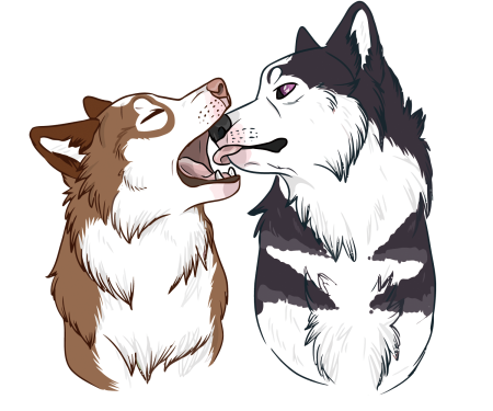 Референс собаки хаски