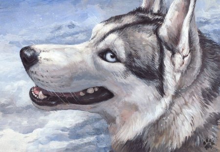 Хаски собака живопись