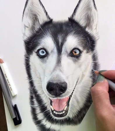 Kelly Lahar художник