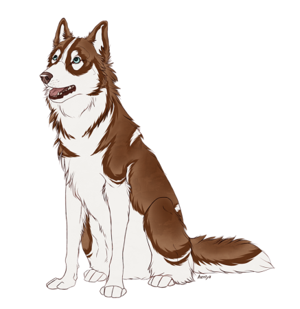 Хаски аниме