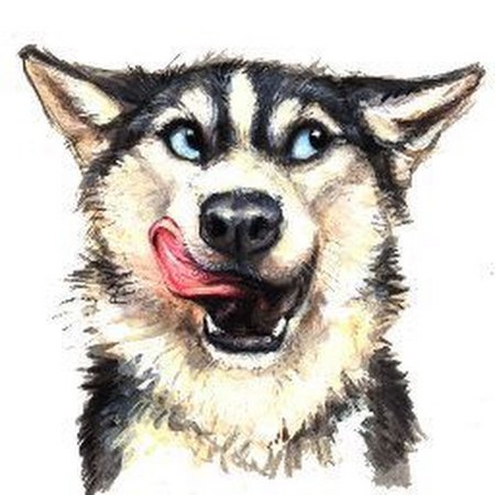 Хаски мультяшные