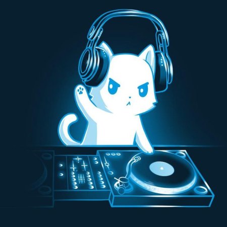 Кот в наушниках