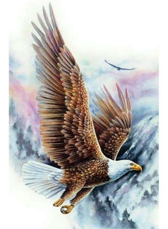Рисуем орла