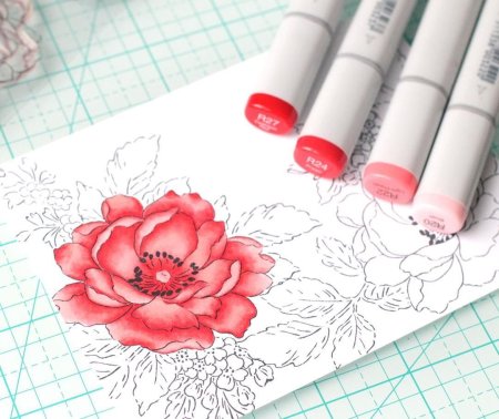 Бьюти иллюстрации