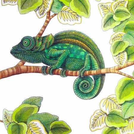 Милли Маротта хамелеон