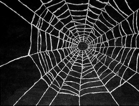 Паутина Дрейн