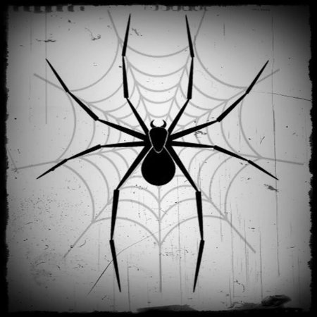 Паук на паутине