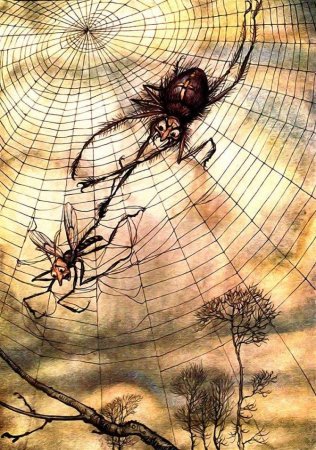 Муха в паутине