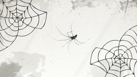 Стилизованная паутина