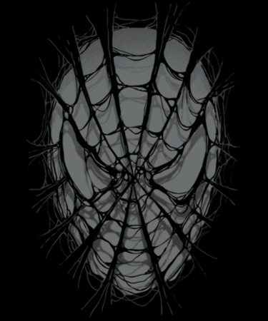 Паутина Дрейн