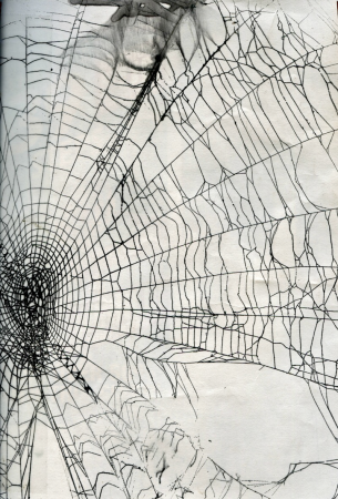 Паутина рисунок карандашом