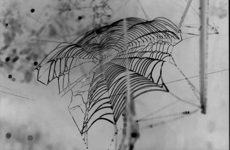 Паутина на темном фоне