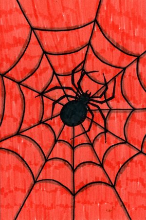 Паутина Графика