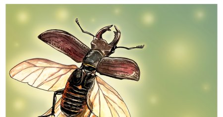 Майский Жук арт