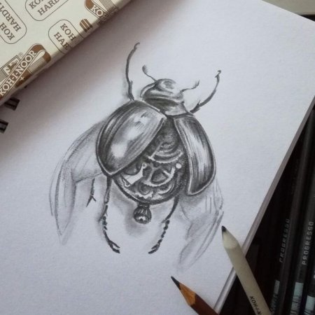 Жук набросок карандашом