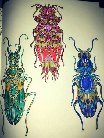 Колорадский Жук рисунок карандашом