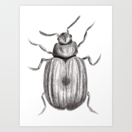 Стилизованные изображения насекомых