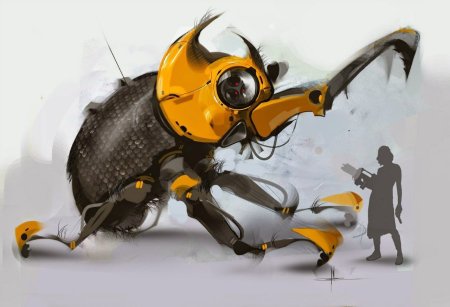 Разнообразные жуки